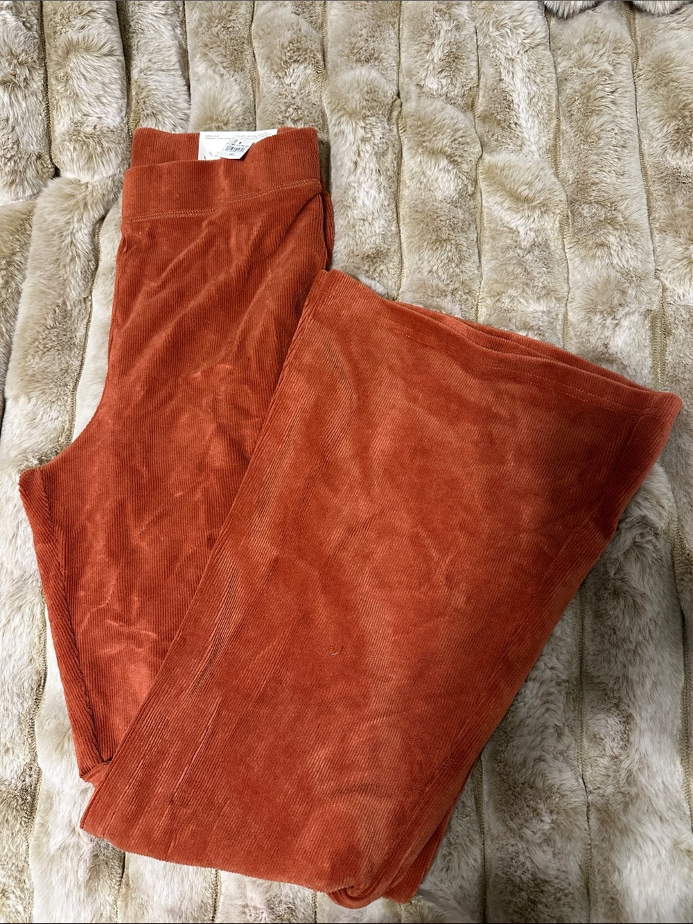 American eagle corduroy pants NWT, L